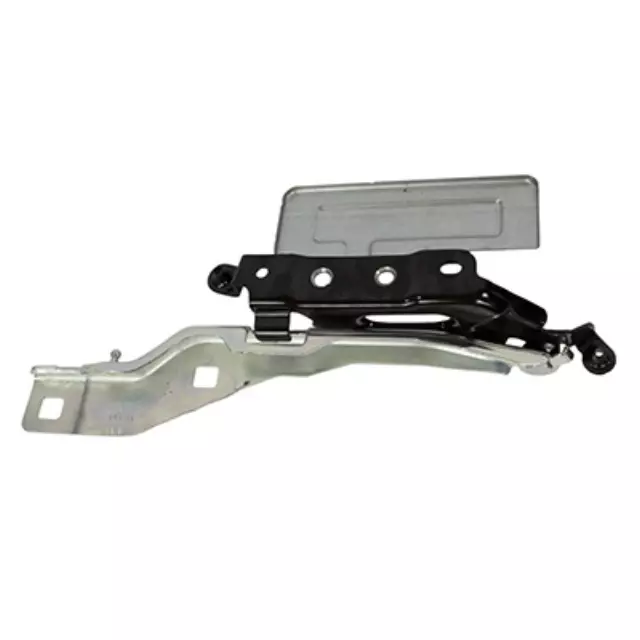 Hinge - Ford (JL1Z-16797-A)