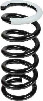 540107S102 - : Coil Spring for Infiniti Image