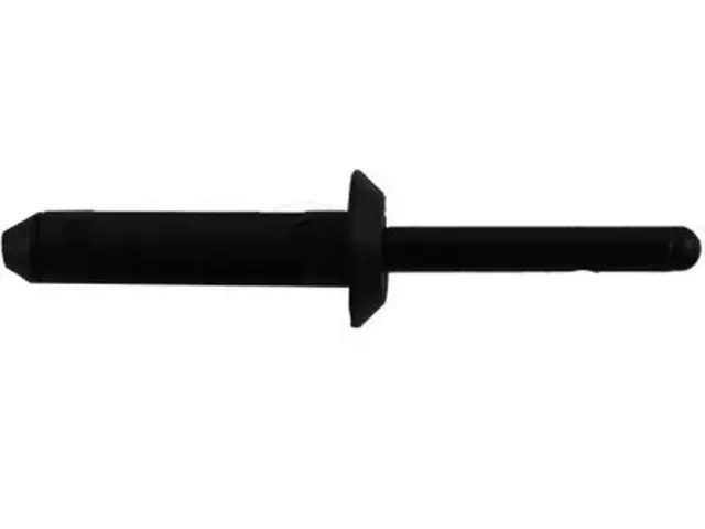 License Bracket Rivet - Ford (W704342-S300)