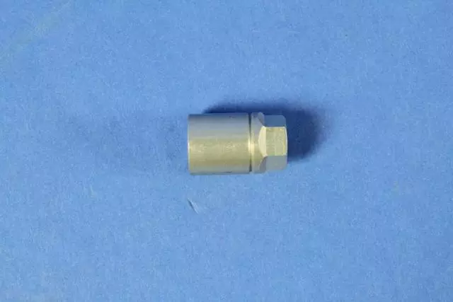 Tire Pressure Sensor Nut - Mopar (5154877AA)