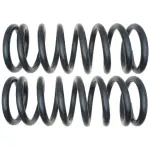 81085 - : Coil Spring Set for Moog Image