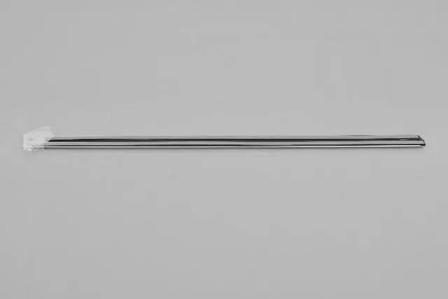 WG21CB6AC - Exterior Ornamentation: Rear Door Molding, Left for Chrysler: 300 | Dodge: Charger, Magnum Image