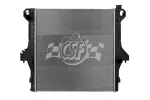 3710 - : Radiator for CSF Image