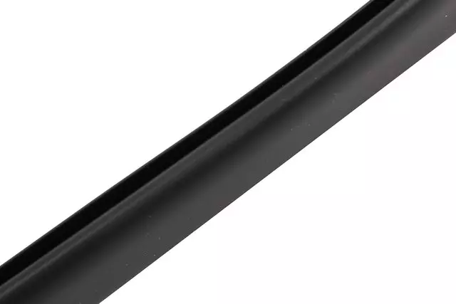 22893934 - Body: Rear Weather-strip for Buick: Enclave Image