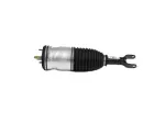 68318301AG - : Air Suspension Spring And Shock Assembly, Left Front for Ram: 1500 Image