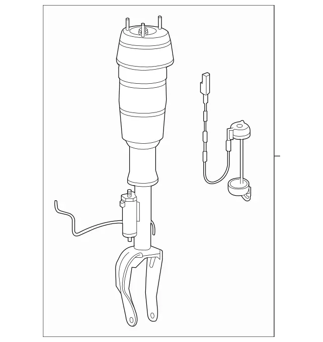 2923202500 - : Air Spring Strut for Mercedes-Benz: GLE43 AMG, GLE450 AMG Image