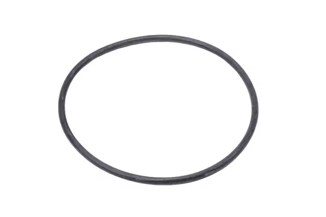 9158173 - : Water Pump Cover Seal for Pontiac: LeMans Image