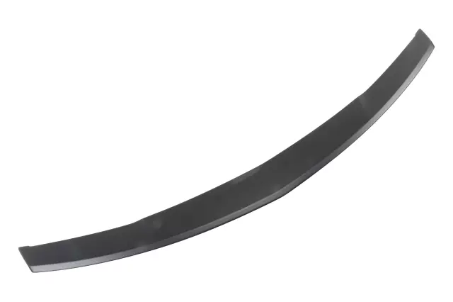 Rounded Edge Spoiler in Paint to Match - GM (22880620)