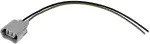 84772 - : Lamp Repair Harness for Dorman Image
