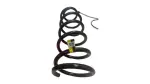 482310E391 - Suspension: Spring for Toyota Image