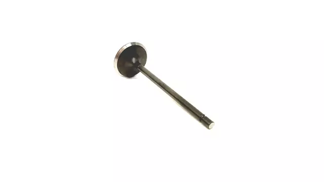 13201AA570 - : Intake Valve for Subaru: Forester Image