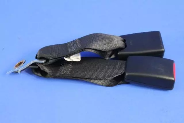 Rear Inner Seat Belt - Mopar (1BY491X9AC)