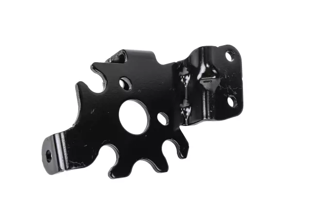 Vapor Canister Purge Pump Bracket - GM (55501918)