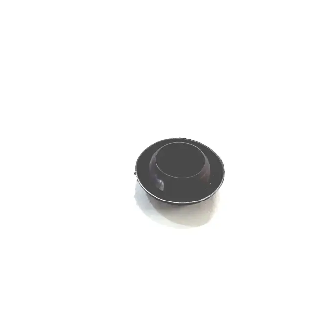 N10746401 - Electrical, Lighting and Body: Multi-Purpose Plug for Lamborghini Image