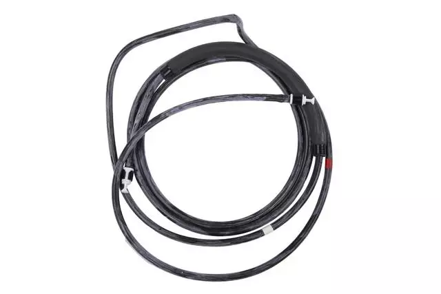 84070315 - Body: Washer Hose for GM Image