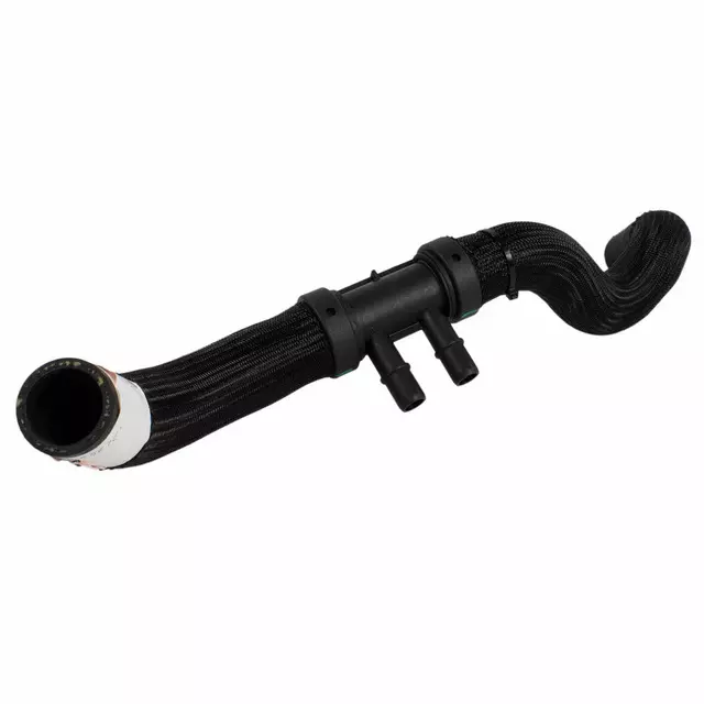 HL3Z8260C - : Upper Hose for Ford: F-150 Image