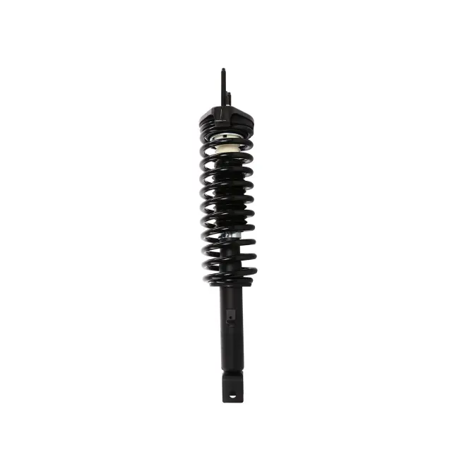 815949 - : PRT 815949 Suspension Strut and Coil Spring Assembly for PRT PERFORMANCE RIDE Image