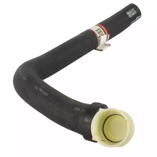 FL3Z8286B - Cooling System: Lower Hose for Ford: F-150 Image