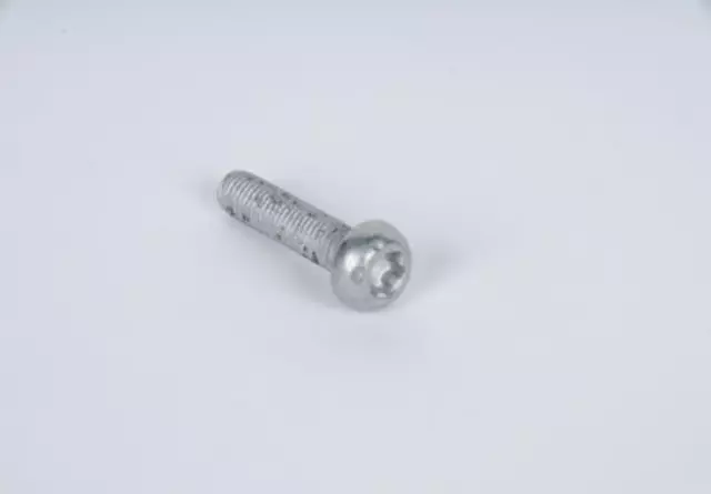 19133171 - : F (S)Bolt for GM Image
