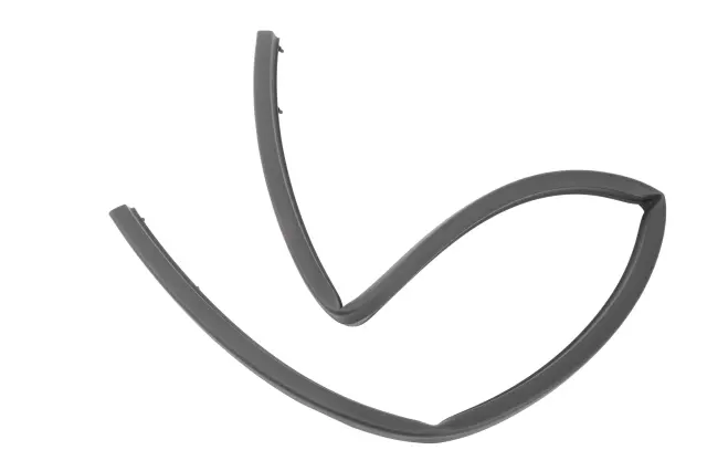 42707815 - Body: Rear Weather-strip for GM Image