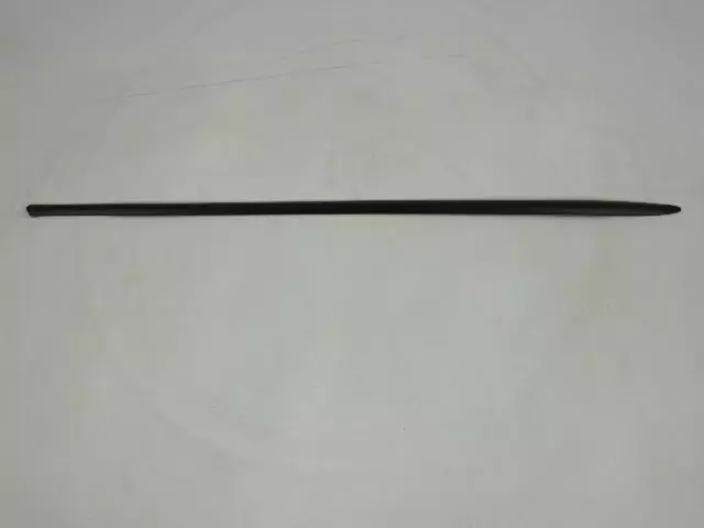 ZH58TZZAA - Body: Body Side Molding for Chrysler: 200, Sebring Image