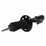 AST12270 - : Motorcraft™ Strut for Lincoln: MKT Image