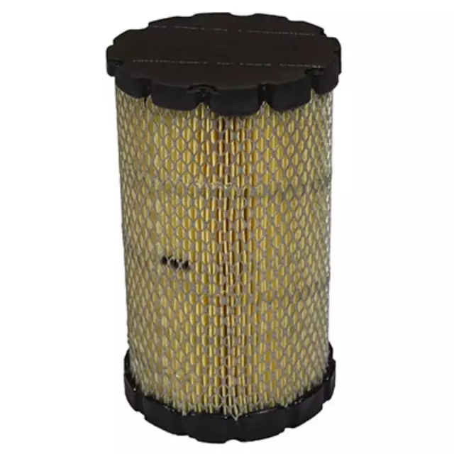 Air Filter - Ford (9L8Z-9601-A)
