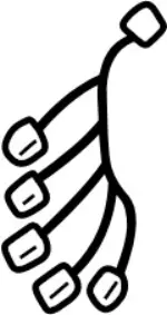 870192Y110 - Body: Harness for Infiniti Image