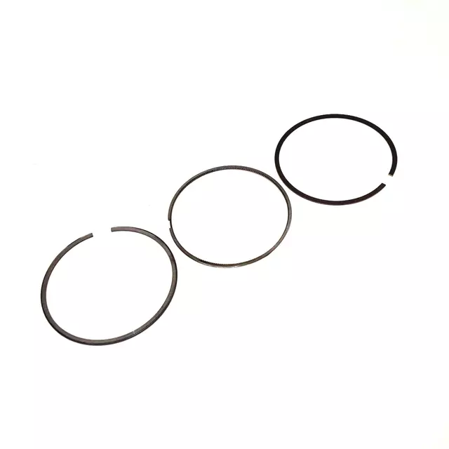 6D198151E - : Piston Ring Set for Audi: A3, A4, A4 Quattro, TT, TT RS Quattro, TTS Quattro Image