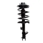 816736 - : PRT 816736 Suspension Strut and Coil Spring Assembly for PRT PERFORMANCE RIDE Image