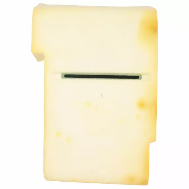 BC3Z1564810G - Body: Seat Back Pad for Ford: F-250 Super Duty, F-350 Super Duty, F-450 Super Duty Image