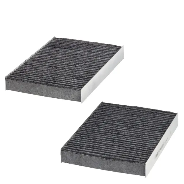 E4938LC2 - : Carbon Activated Cabin Air Filter for HENGST Image