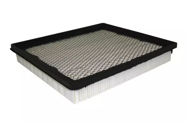 55560894 - : Air Filter for Buick: LaCrosse, Regal | Chevrolet: Impala, Malibu Image
