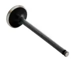 EM4403 - : Engine Exhaust Valve for Enginetech Image