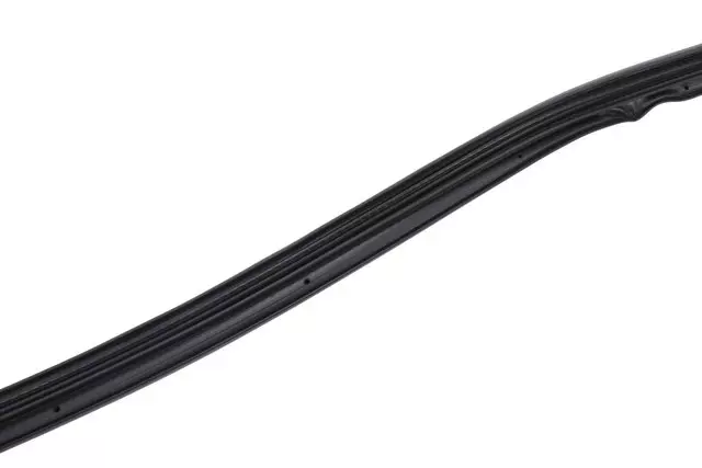 Weather-Strip On Body - GM (84710501)