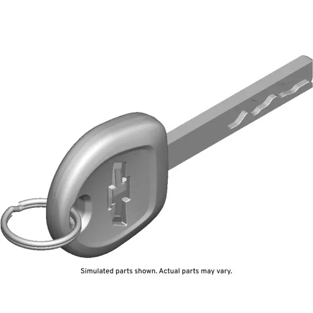 13523893 - : Door Lock And Ignition Key for GM Image