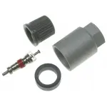 20009 - : TPMS Service Kit 20009 (Clamp-in Components) for Schrader TPMS Solutions Image