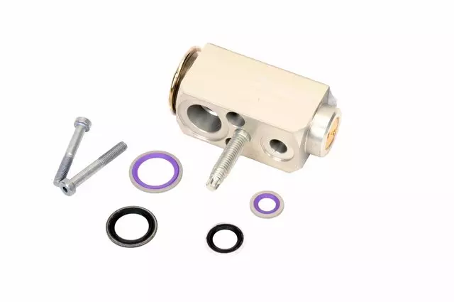 Auxiliary Air Conditioning Evaporator Thermal Expansion Valve Kit - GM (23224322)