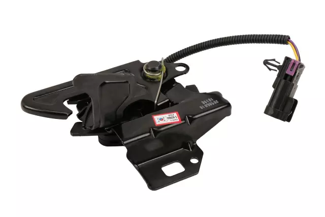 Latch - GM (20906015)