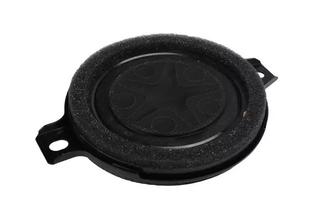 Front Side Door Upper Speaker - GM (84922491)
