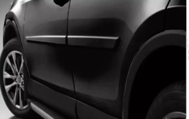 PT9384213029 - Exterior: Door Molding for Toyota Image