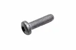 19133161 - : F (S)Bolt for GM Image