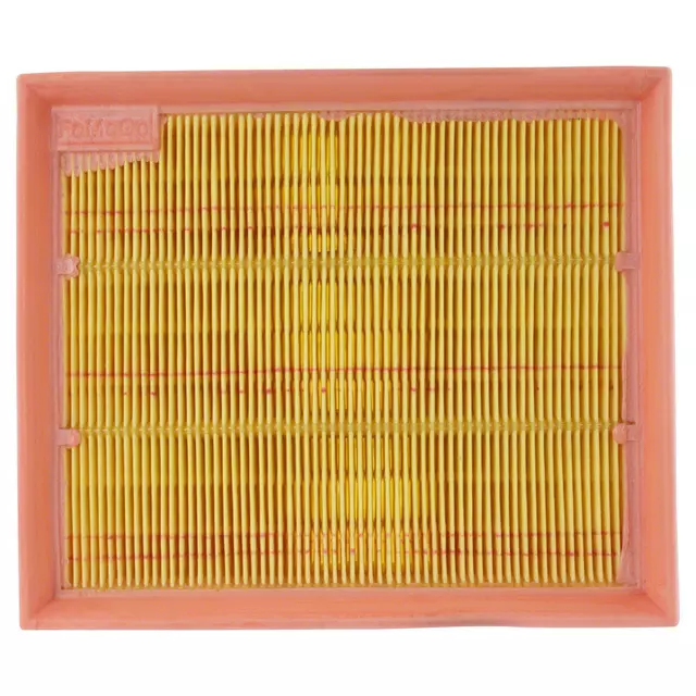 Air Filter - Ford (LX6Z-9601-A)