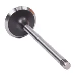V4495 - : Engine Exhaust Valve for Enginetech Image