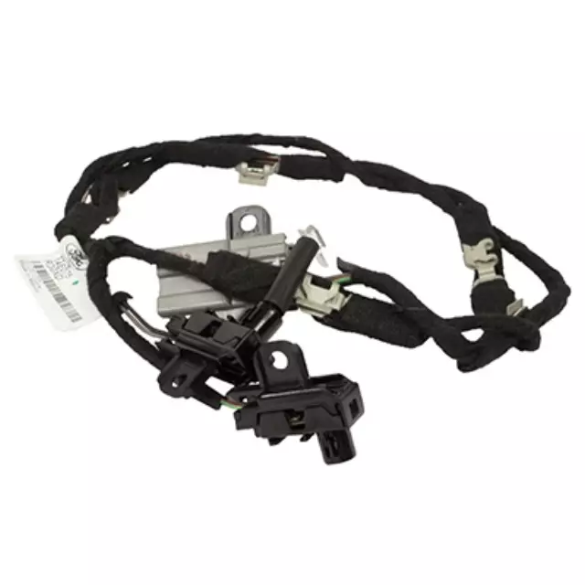 Wire Assembly - Ford (JL1Z-13C724-B)