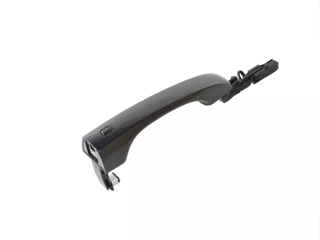 1RH64KARAG - Doors, Door Mirrors and Related Parts: Exterior Door Handle for Chrysler: 300 Image