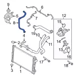7H6Z8075B - Cooling System: Return Hose for Ford: Fusion | Lincoln: MKZ Image