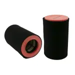 WA11344 - : WIX Radial Seal Air Filter for WIX Image