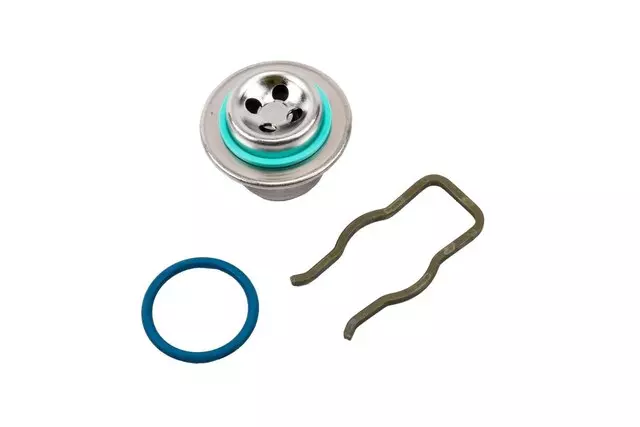 12575013 - : Fuel Pulse Dampener for GM Image