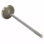 AL8Z6507A - : Intake Valve for FORD Image